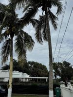 Alojamiento - Safari Wynwood