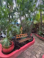 Alojamiento - Cocos Cabañas Playa del Carmen Adults only