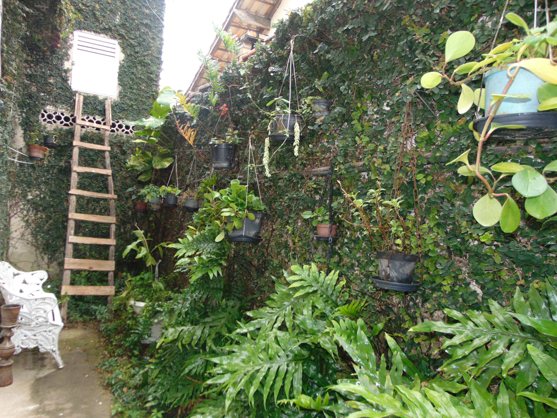 Varios Hostel Verde Canto