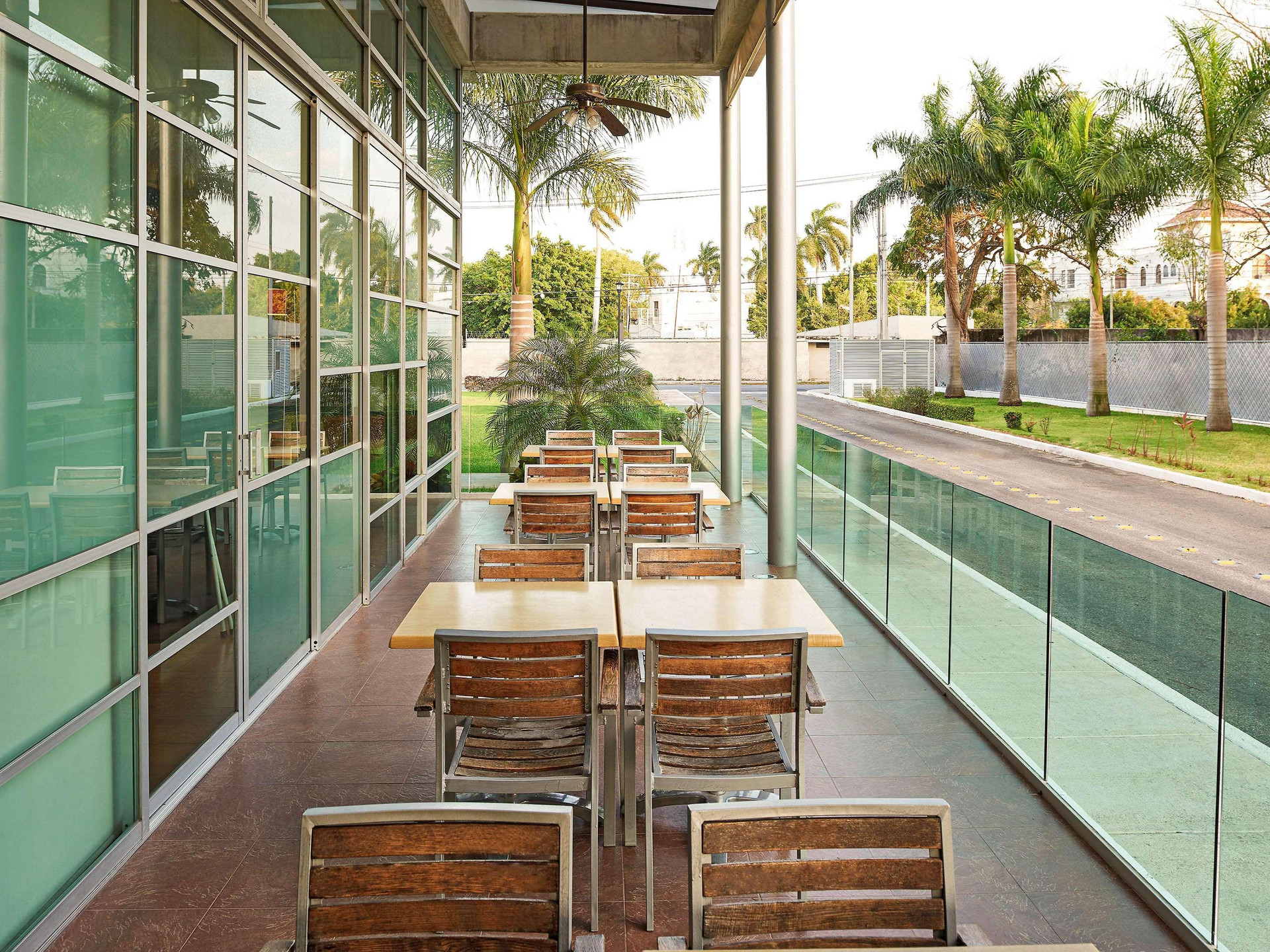 Varios ibis Merida