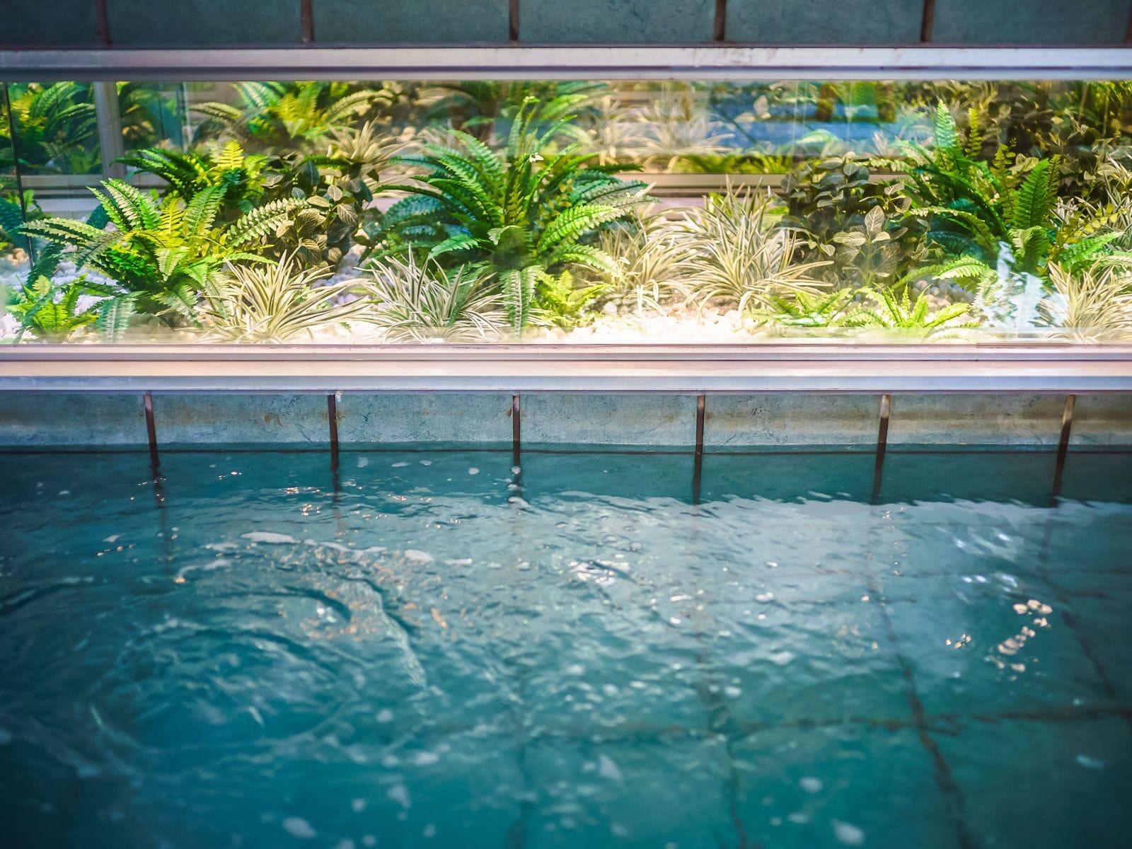 Spa Super Hotel Kochi