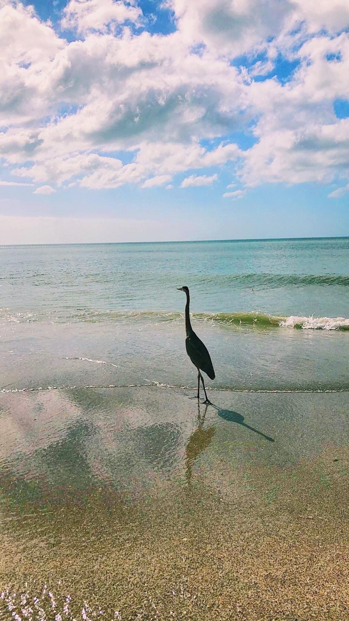 Playa Holiday Isles Resort