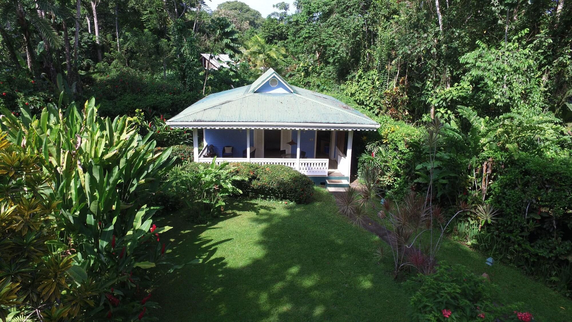 Habitación Playa Negra Guesthouse