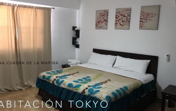 Cabo Tortuga Hotel Boutique - Hoteles 3 estrellas en Los cabos, México
