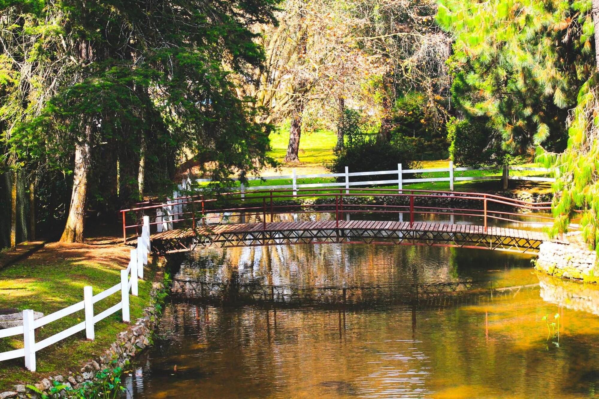 Varios Hotel Platanus