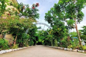 Alojamiento - Wellness World Khao Yai