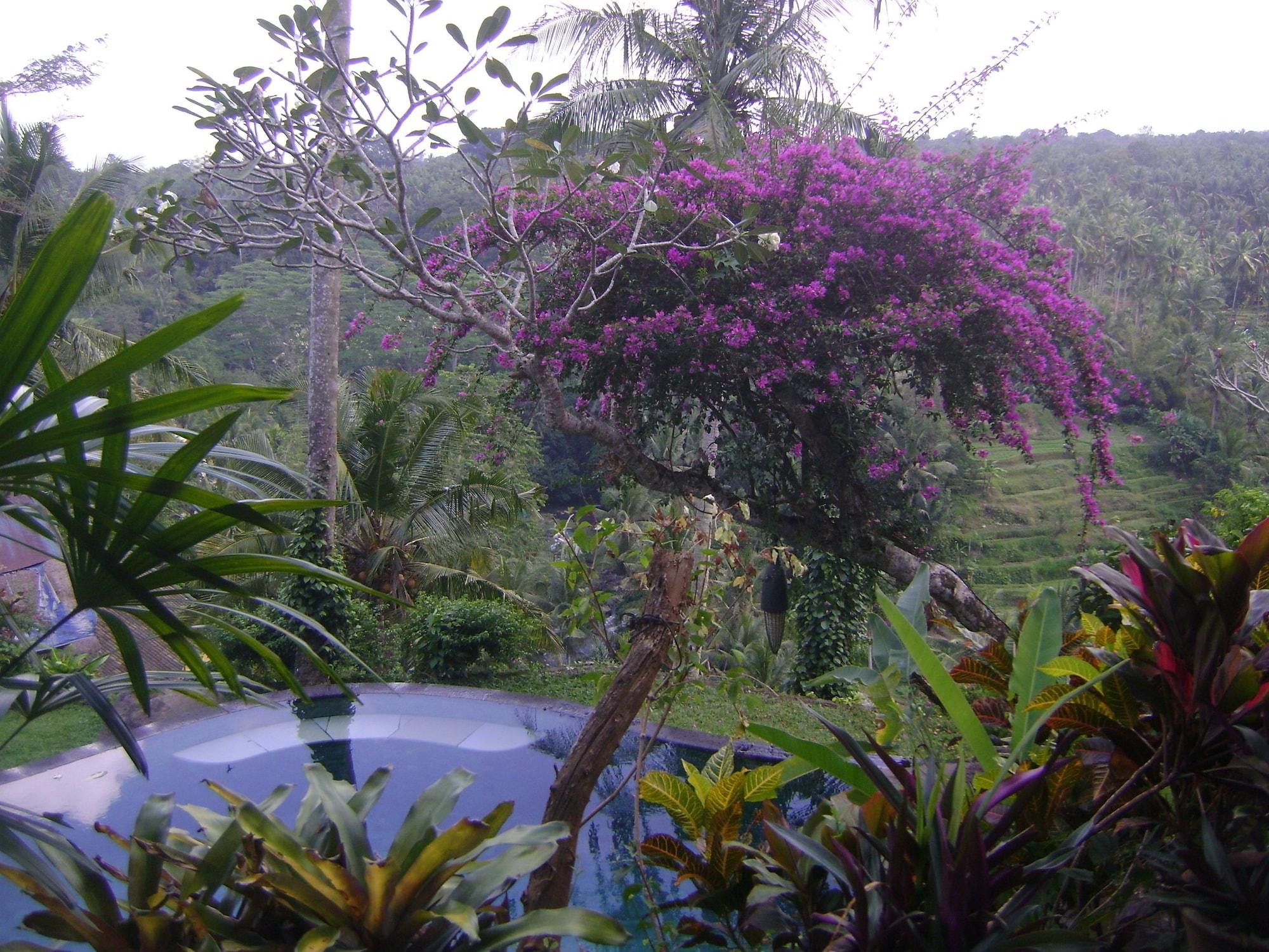 Vista Exterior Taman Bebek Resort & Spa