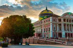 Passagem - Voos para Manaus