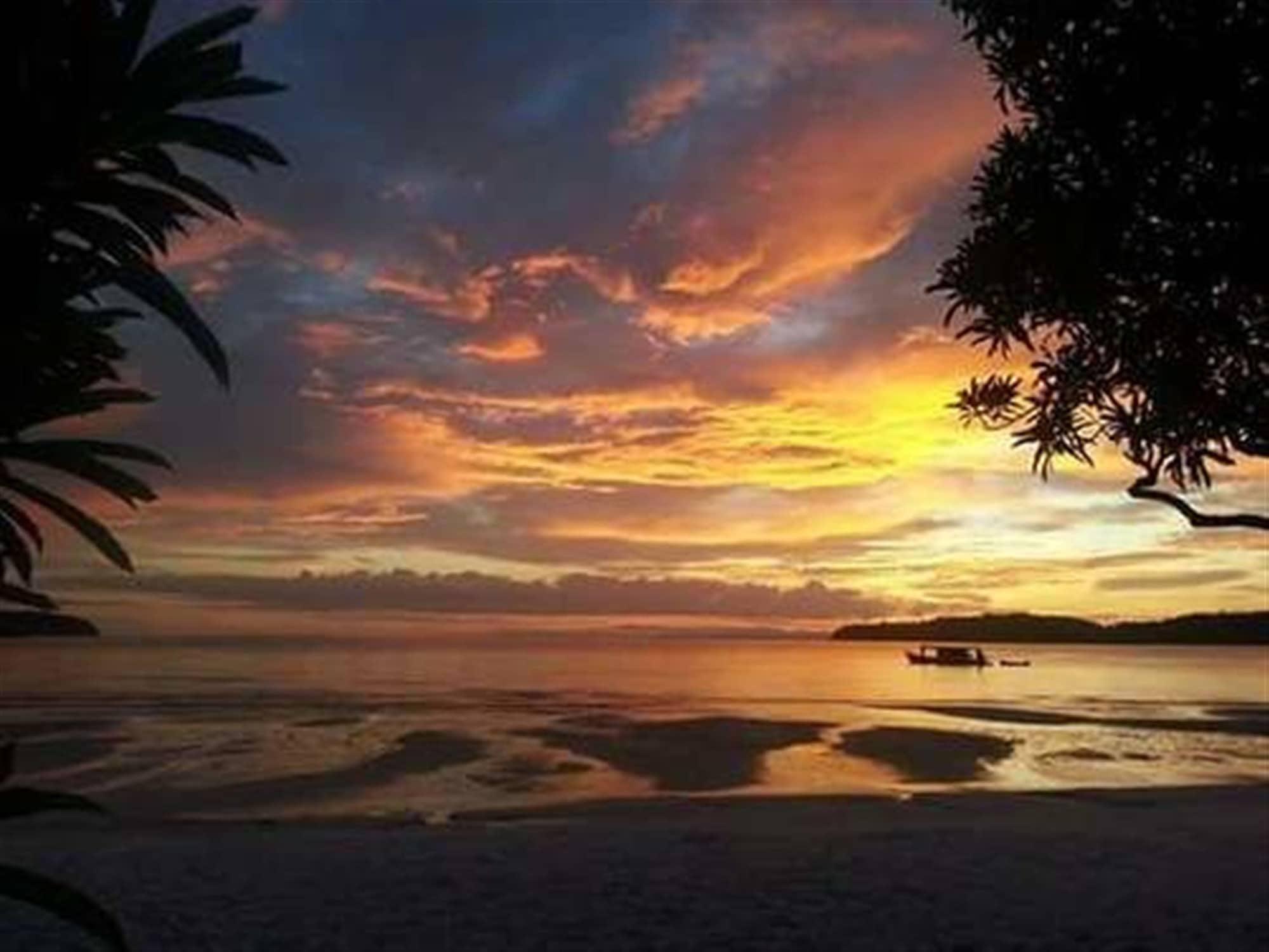 Playa Tree Bar Hostel