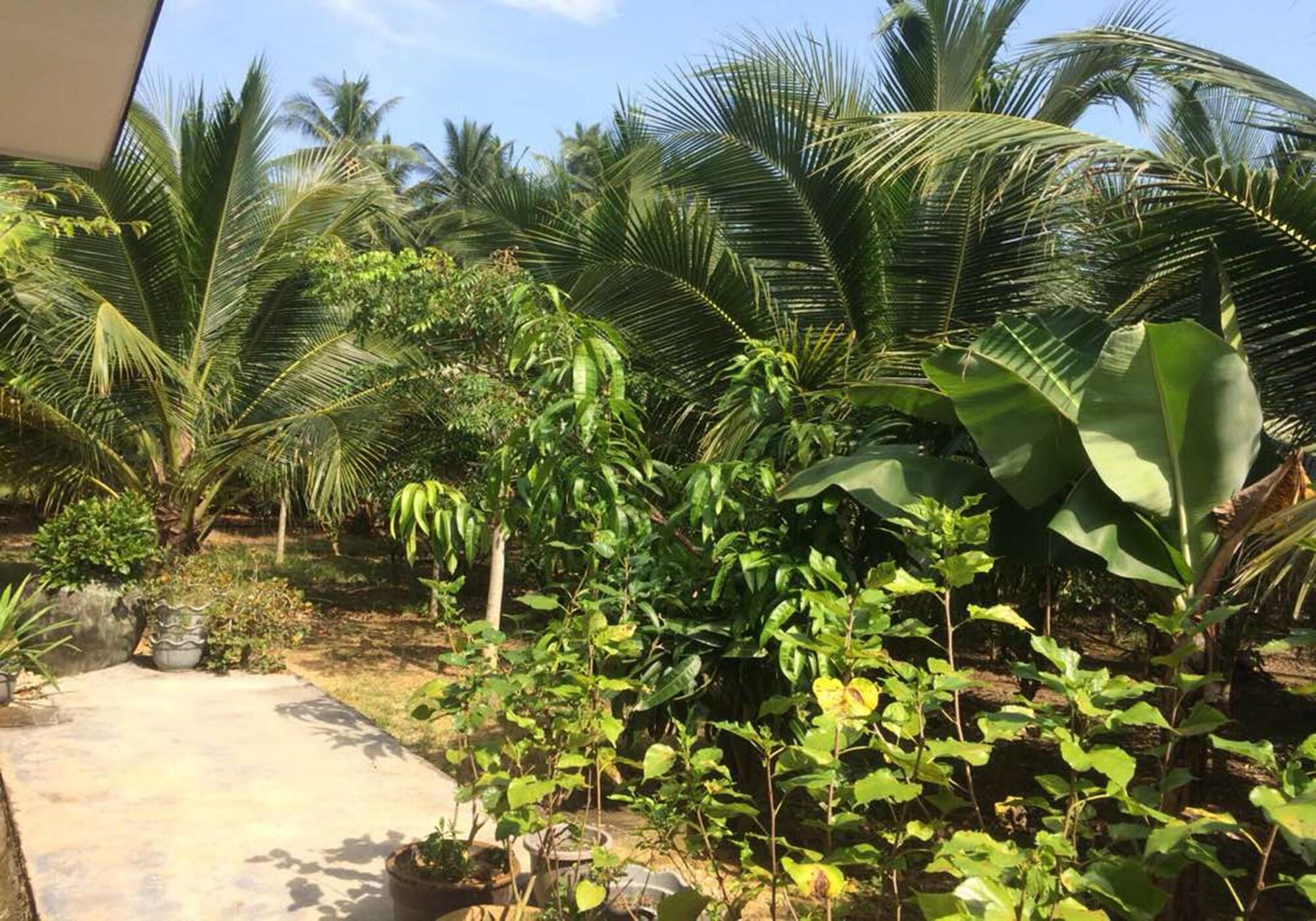 Comodidades del Alojamiento Kelulut Lodge