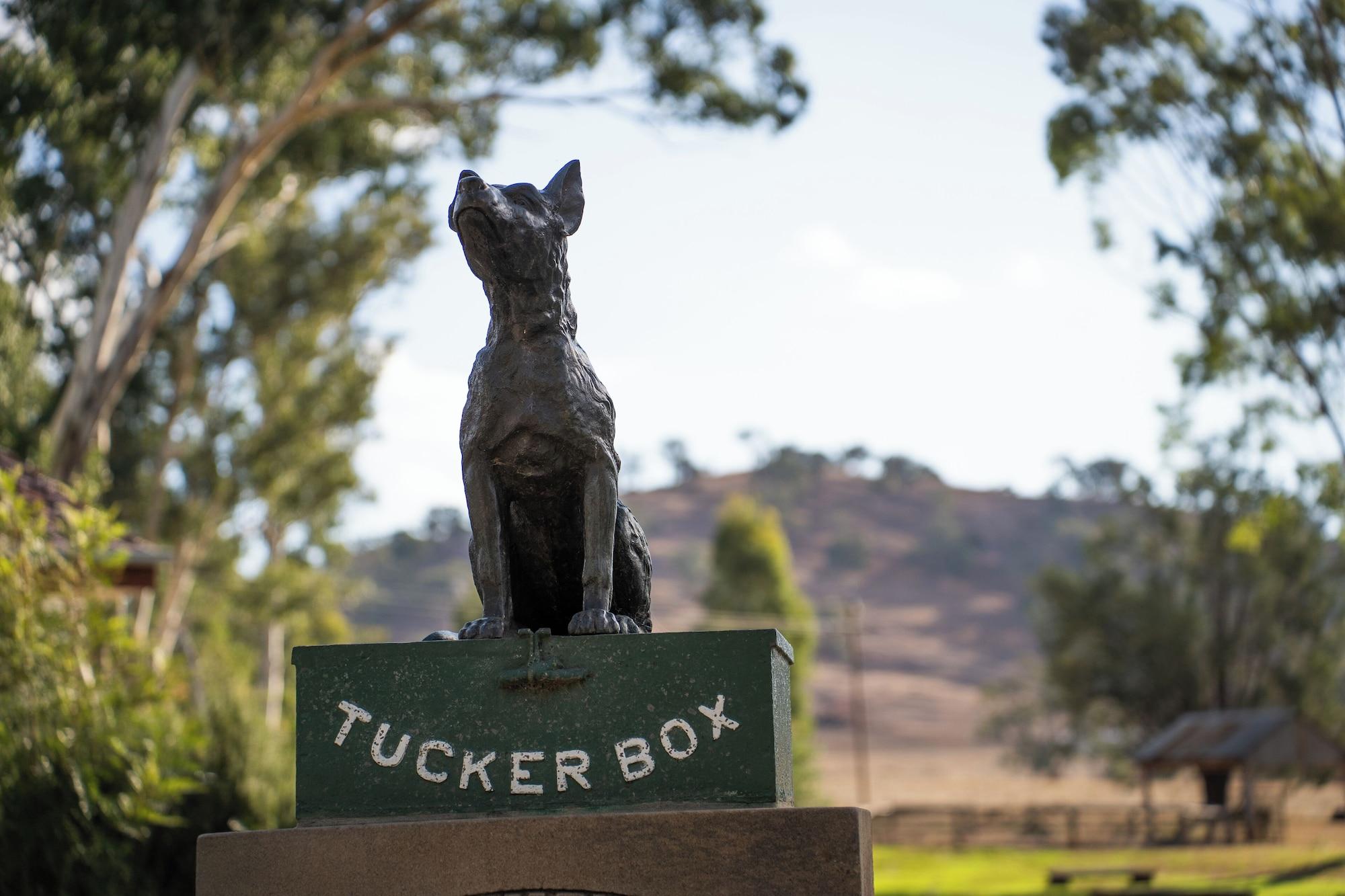 Instalaciones Recreativas Reflections Tumut River