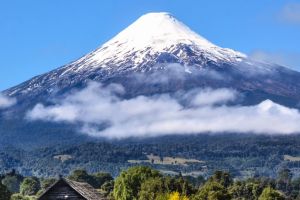 Actividad - Volcàn Osorno y Saltos del Petrohue