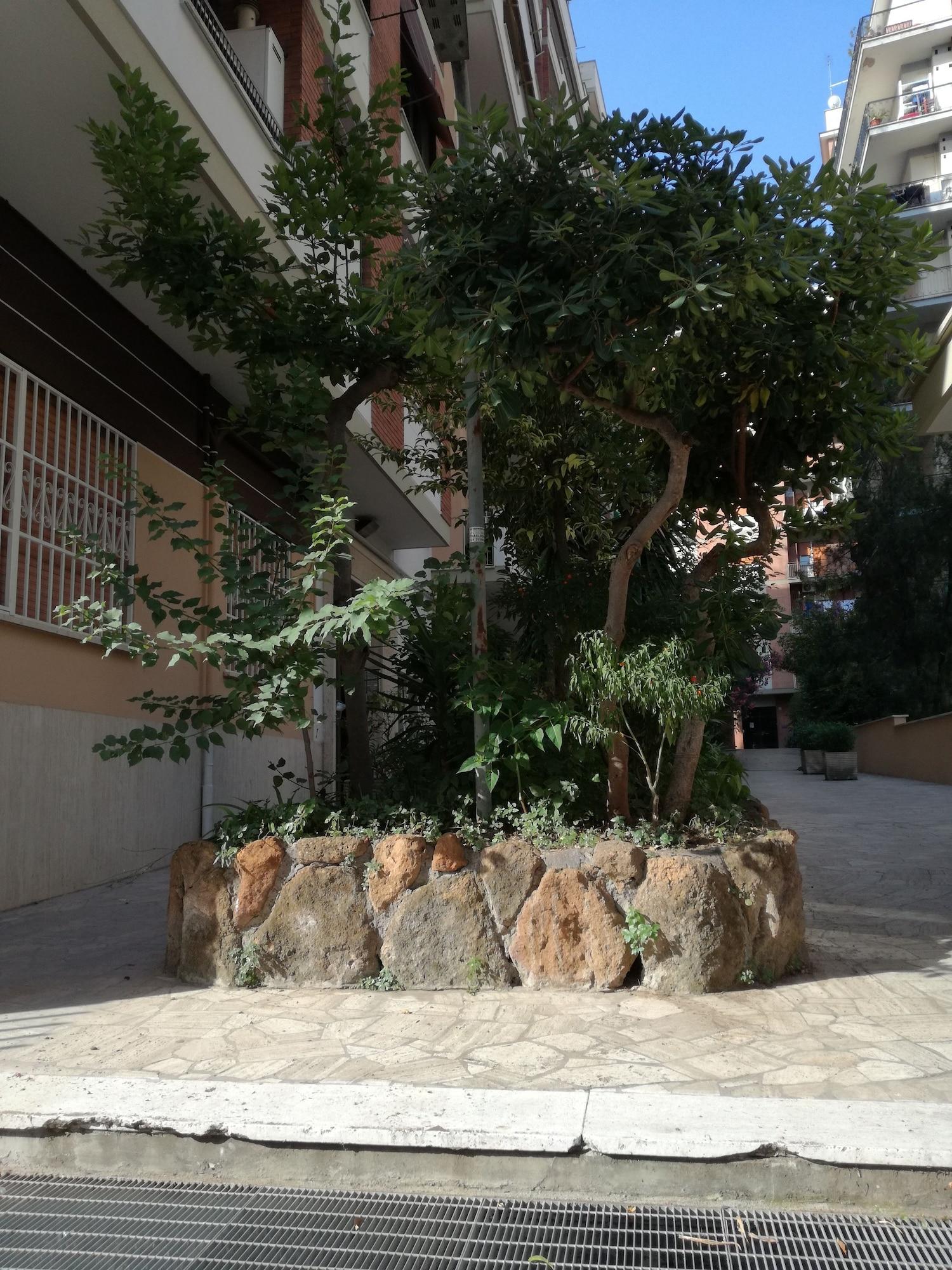 Vista Exterior B&B Gioacchino Testa