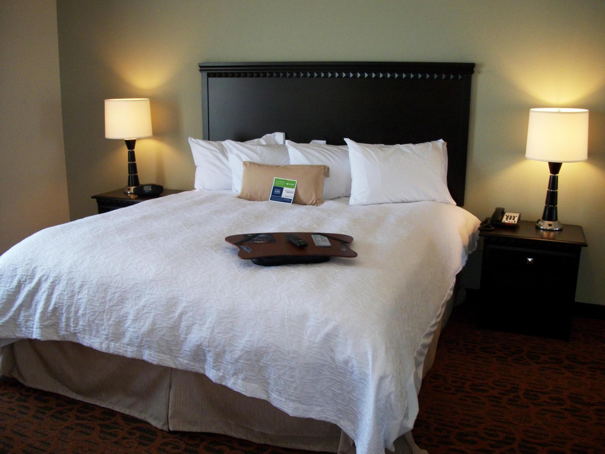 Habitación Hampton Inn Pecos