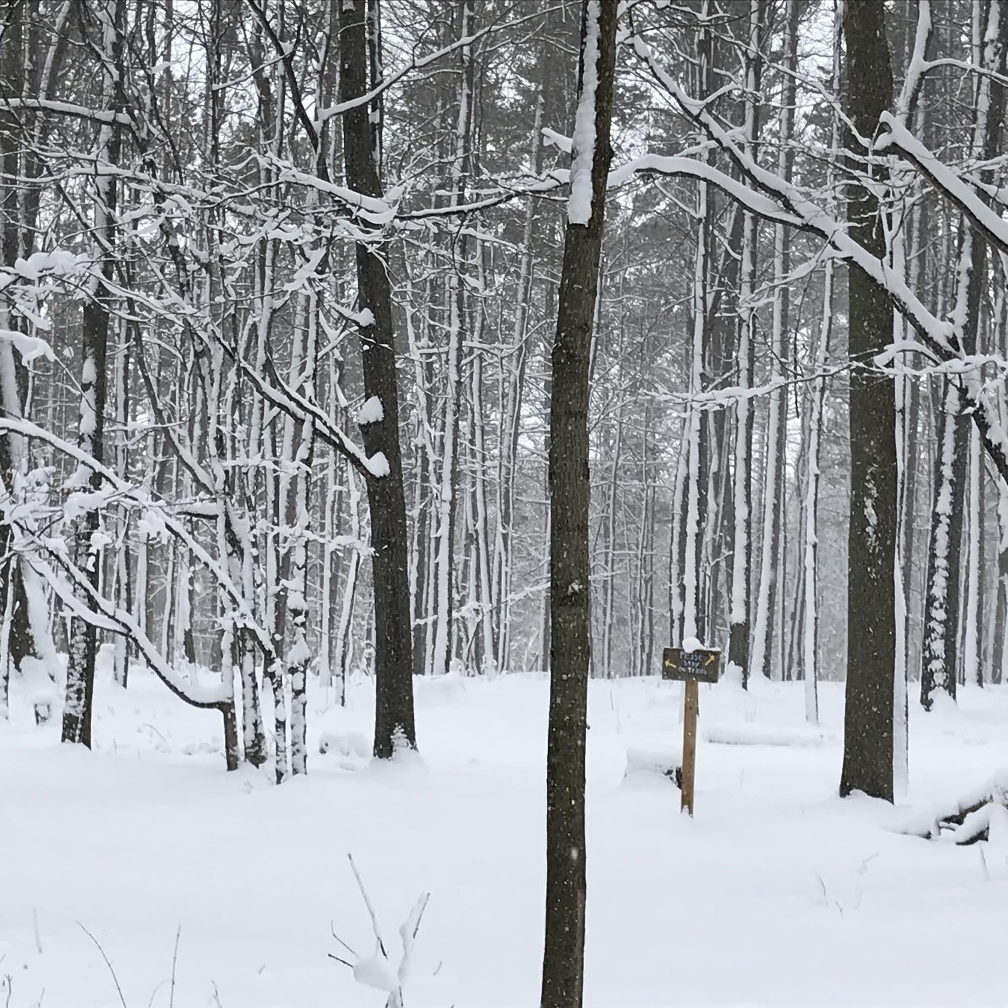 Instalaciones Recreativas Chanticleer Guest House