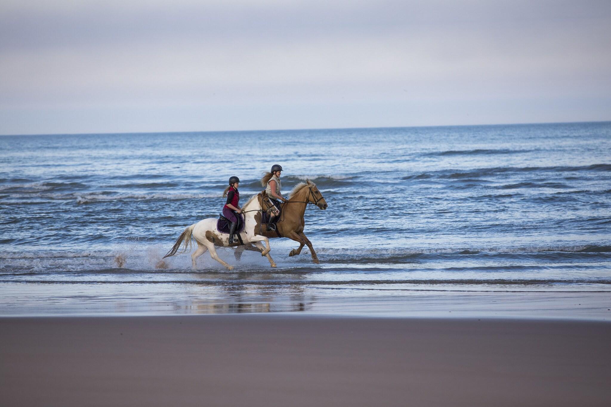 Playa Trump International Scotland