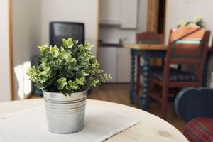 Alquiler Vacacional - Rondaplassen