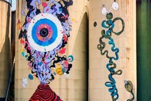Activity - Catania Street Art Tour