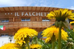 Alojamiento - Il Falchetto