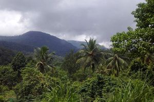 Passeio - Excursão com Trekking nas Colinas Douradas (Ponmudi)