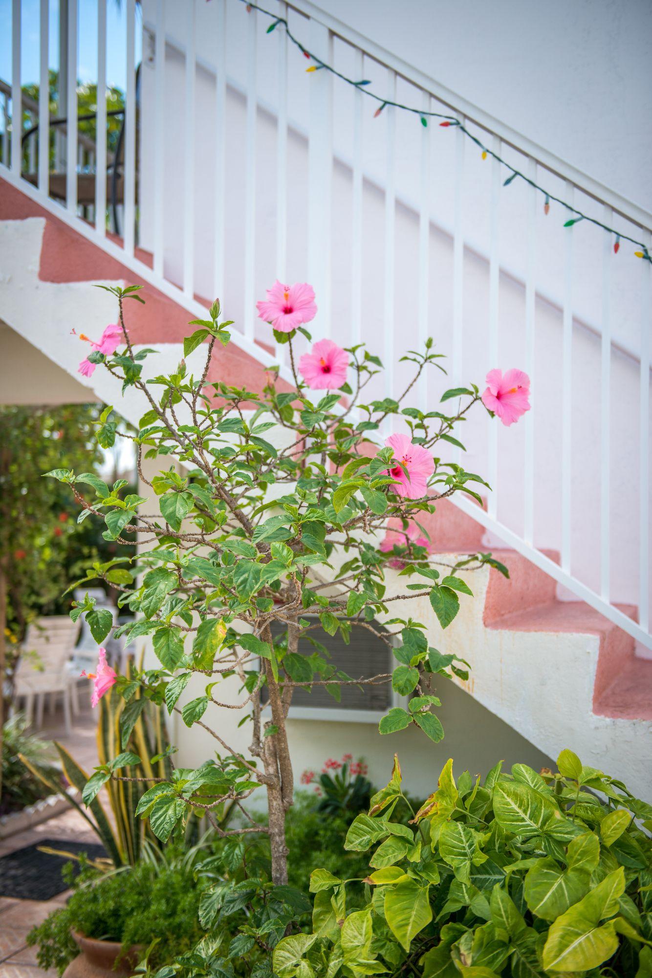 Vista Exterior Shore Haven Resort Inn