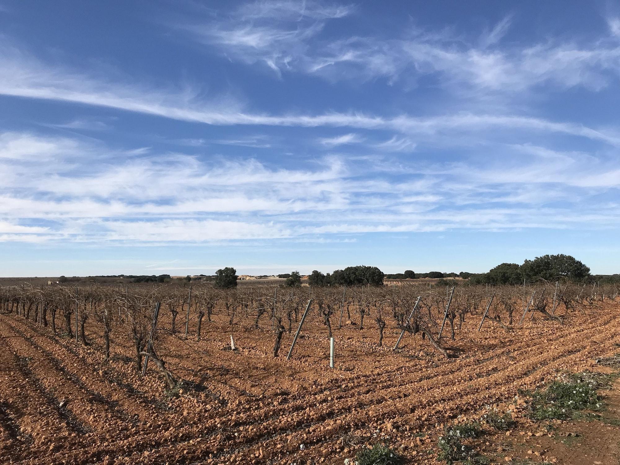 Vista Exterior Hostal Rural Los Girasoles de iniesta