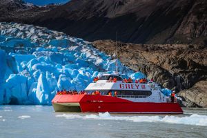 Actividad - Navegación al Glaciar Grey desde Puerto Natales