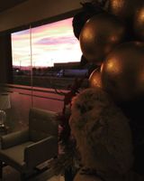 Alojamiento - Best Western Plus Aeropuerto Monclova-Frontera