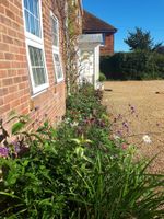 Alojamiento - Berry House Bed & Breakfast
