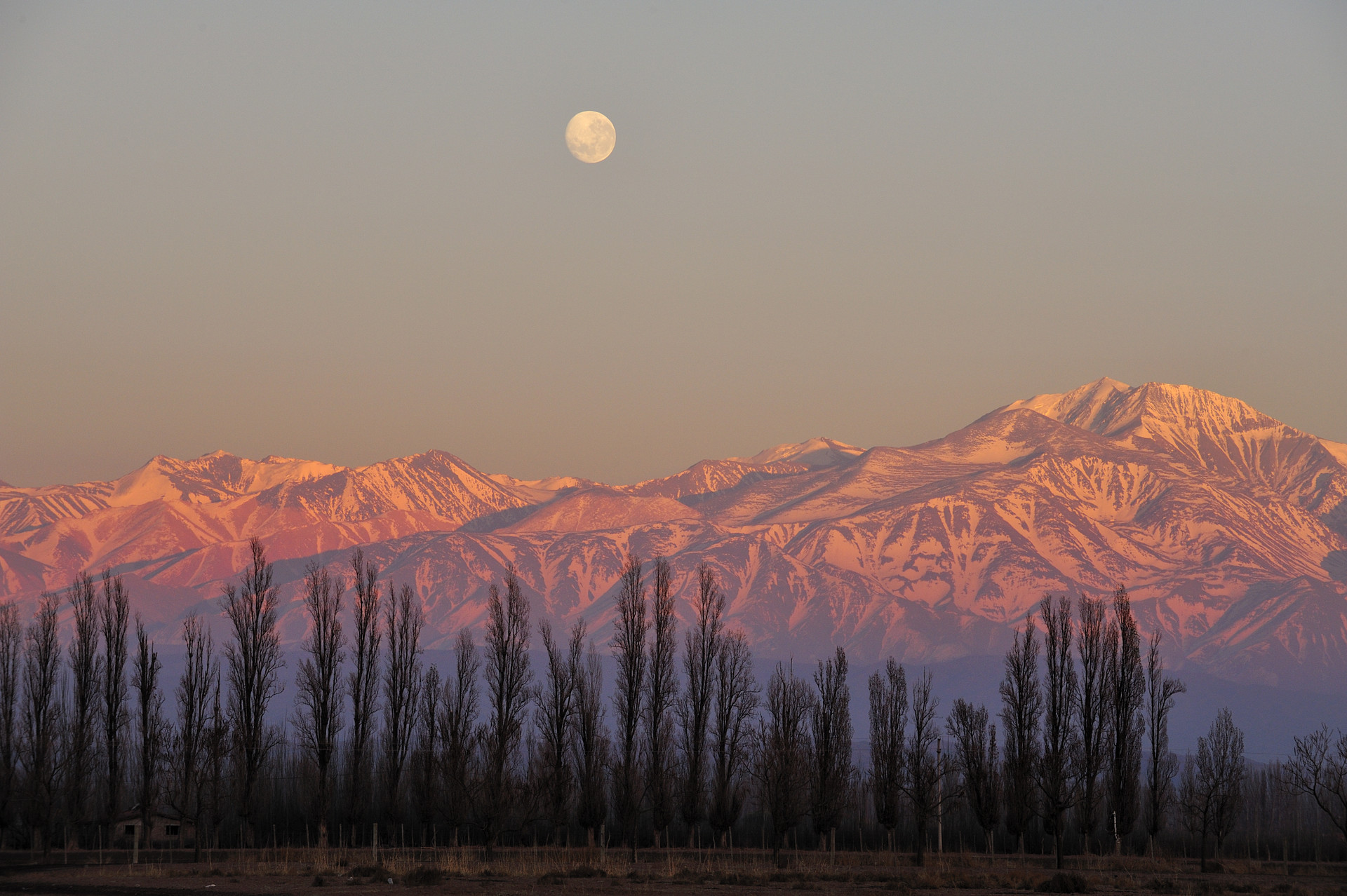 Mendoza