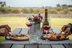 Actividad - Bodega Gamboa: Un Viaje de Sabores