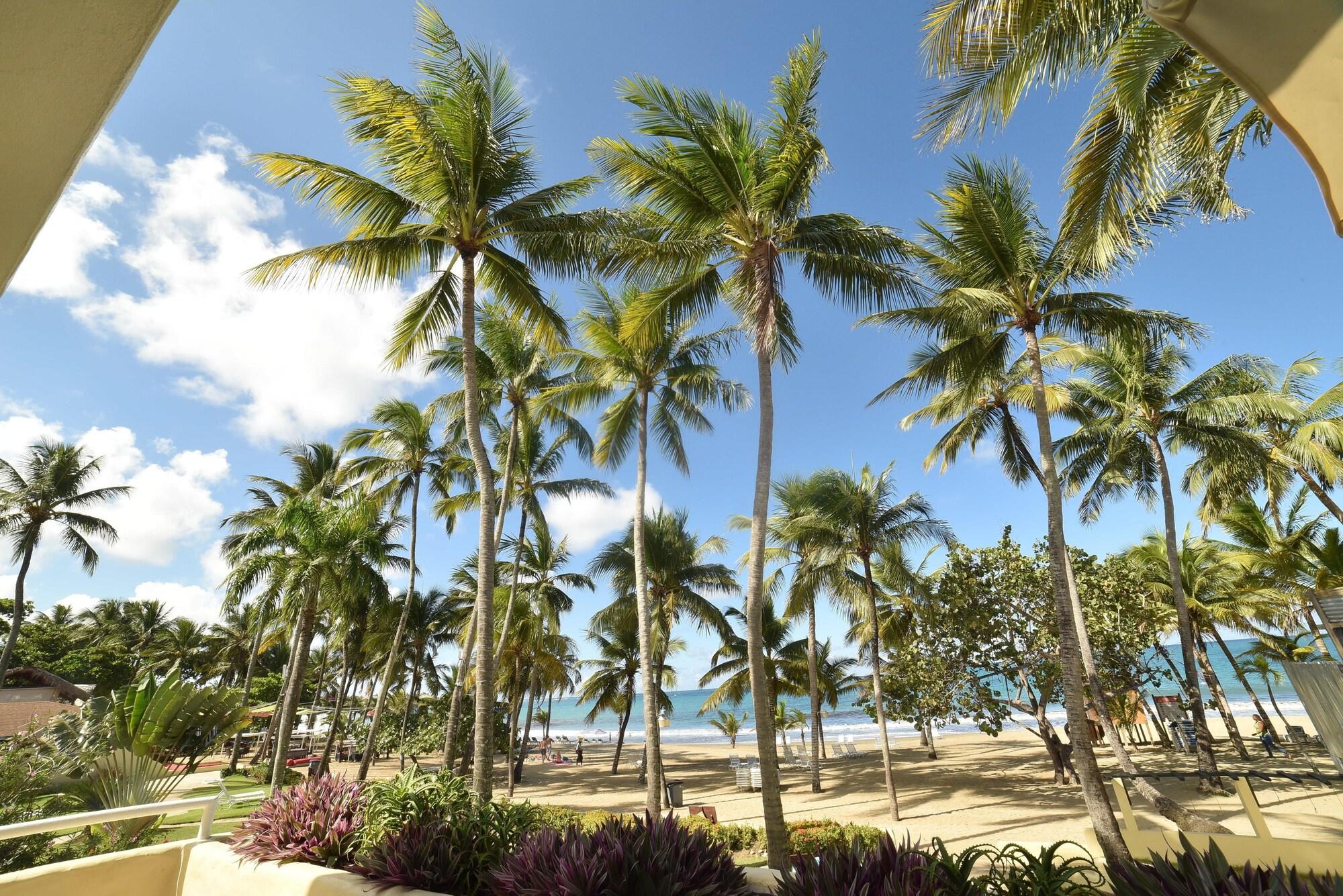Playa Cabarete Palm Beach Condos