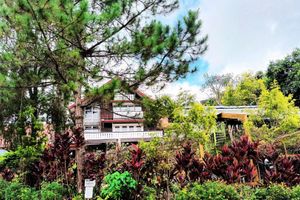 Alojamiento - Log Cabin Hotel-Baguio