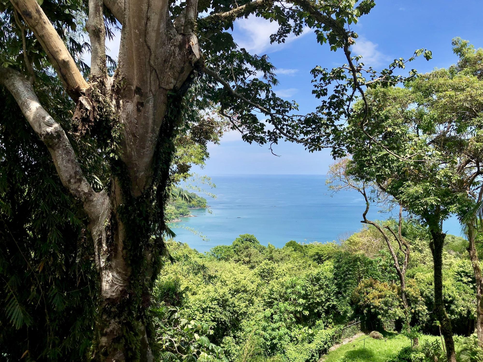 Varios Mango Moon Villa