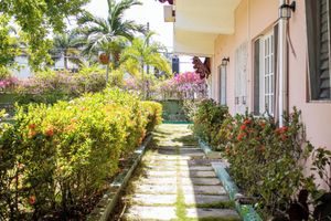 Alojamiento - Silver Creek Resort