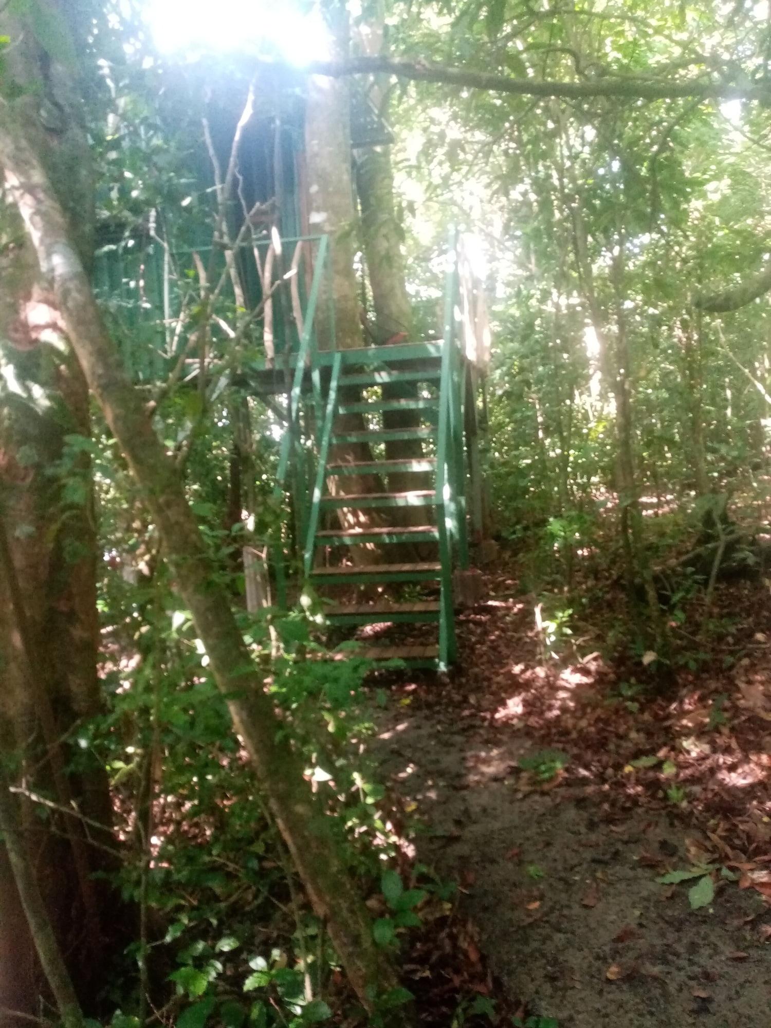 Varios The Green Tree Lodge