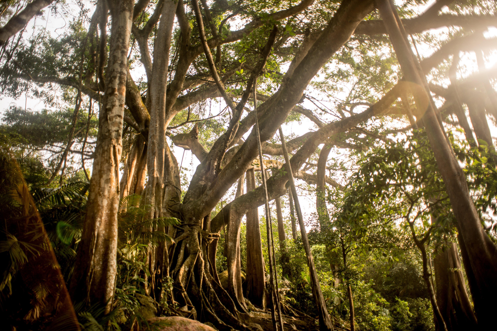 Vista Exterior InterContinental Danang Sun Peninsula Resort by IHG
