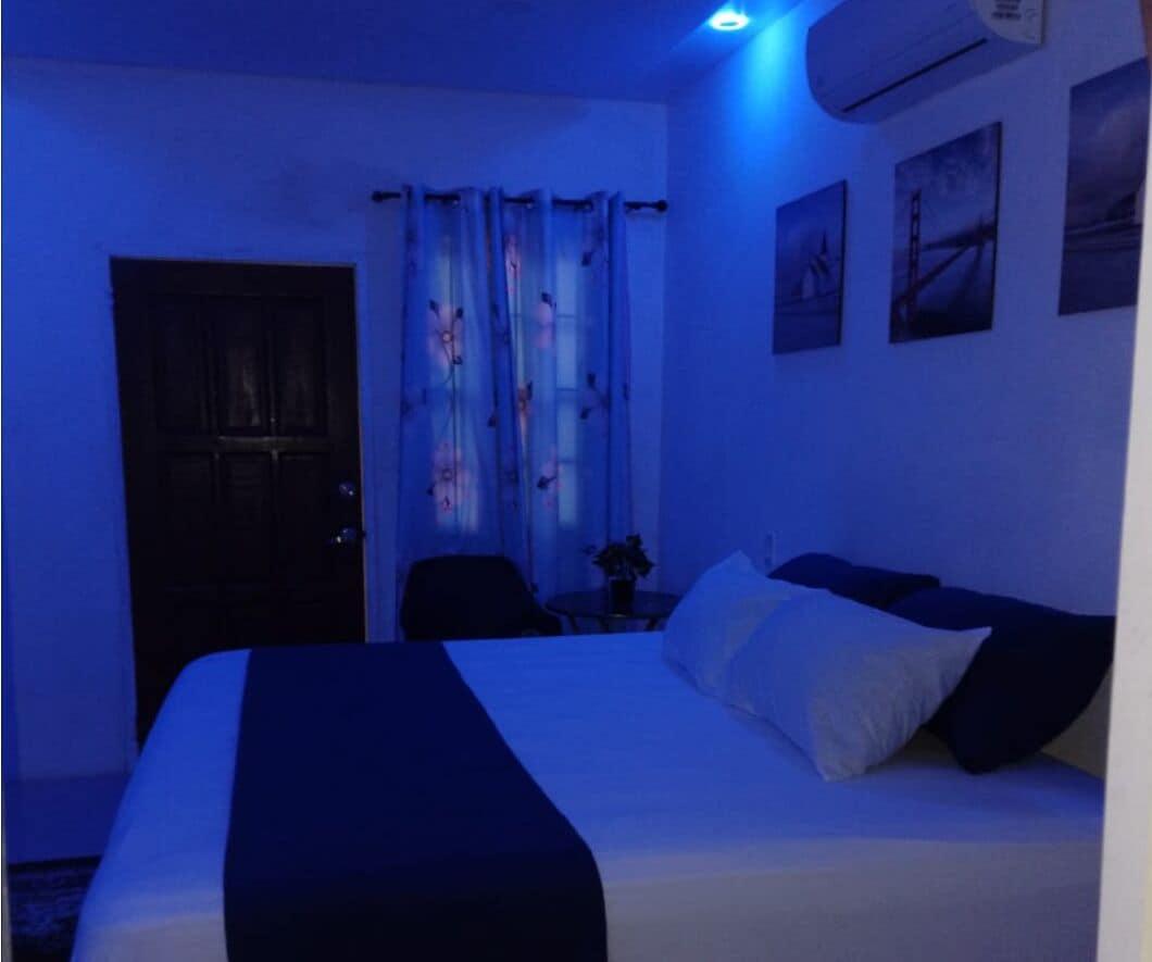 Varios Wisroc Oasis