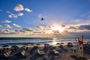 Alojamiento - Beach Club at The Boca Raton