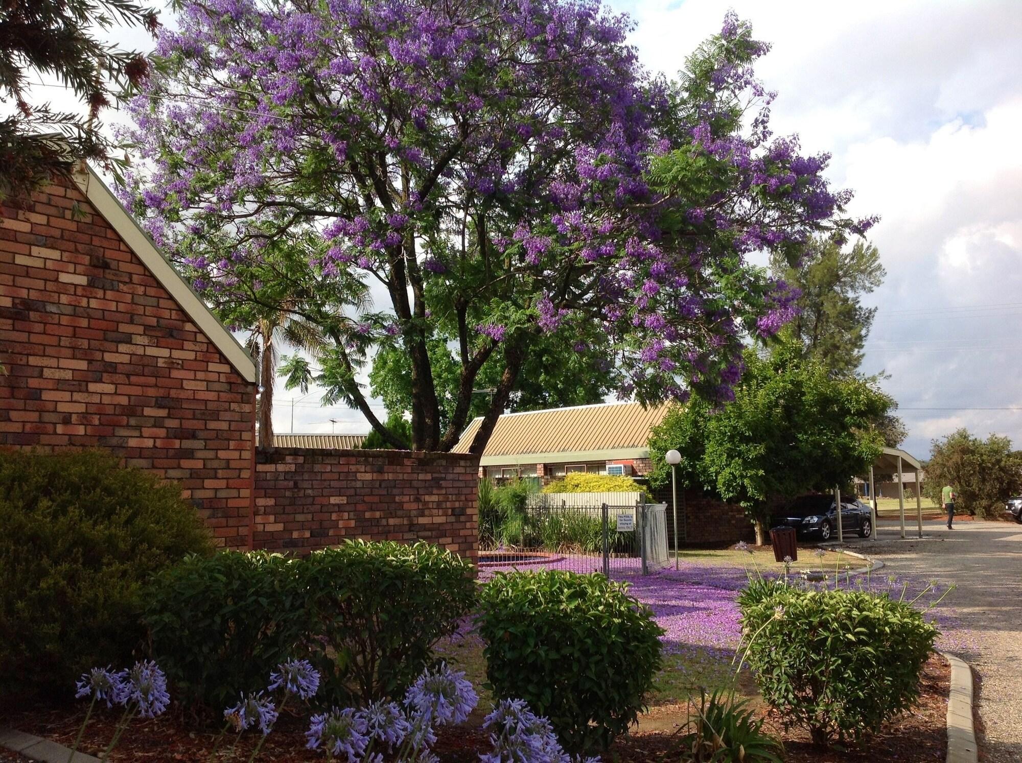 Vista Exterior Belvoir Village Motel & Apartments Wodonga