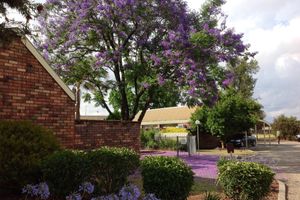 Alojamiento - Belvoir Village Motel & Apartments Wodonga