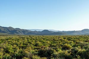 Alojamiento - Mont Eco Game Reserve