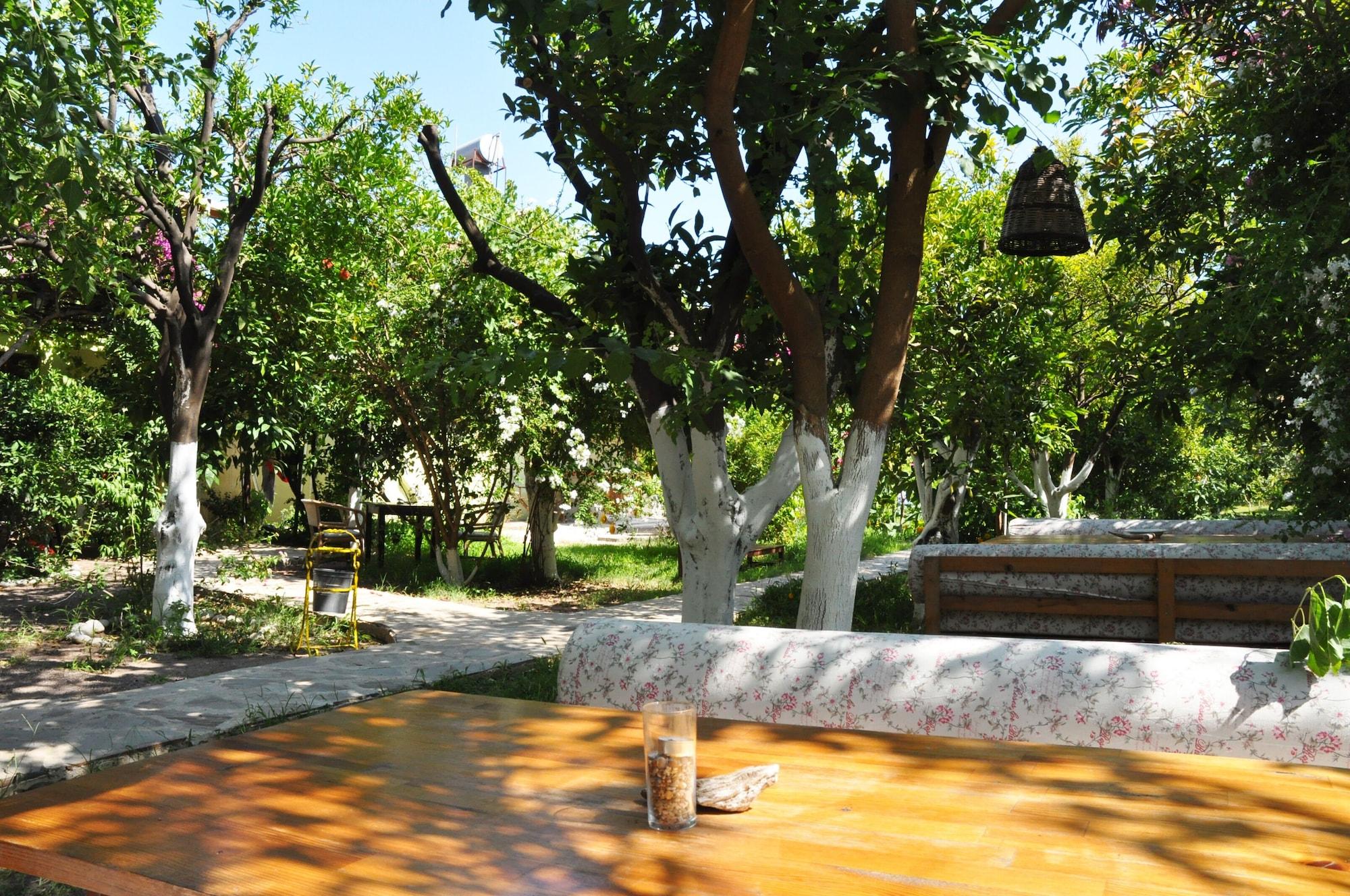 Comodidades del Alojamiento San Simon Hotel