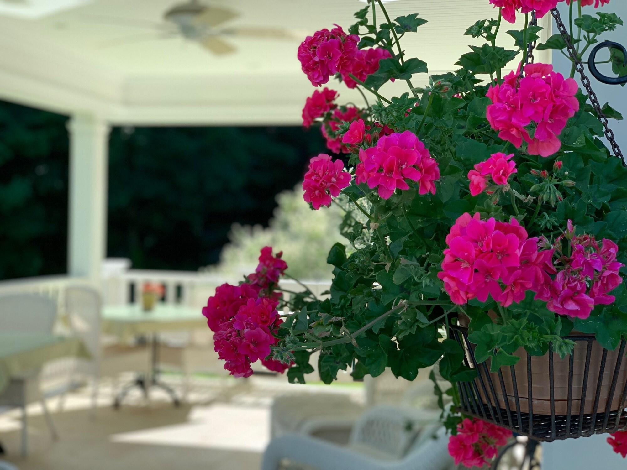 Restaurant Howarth House B&B