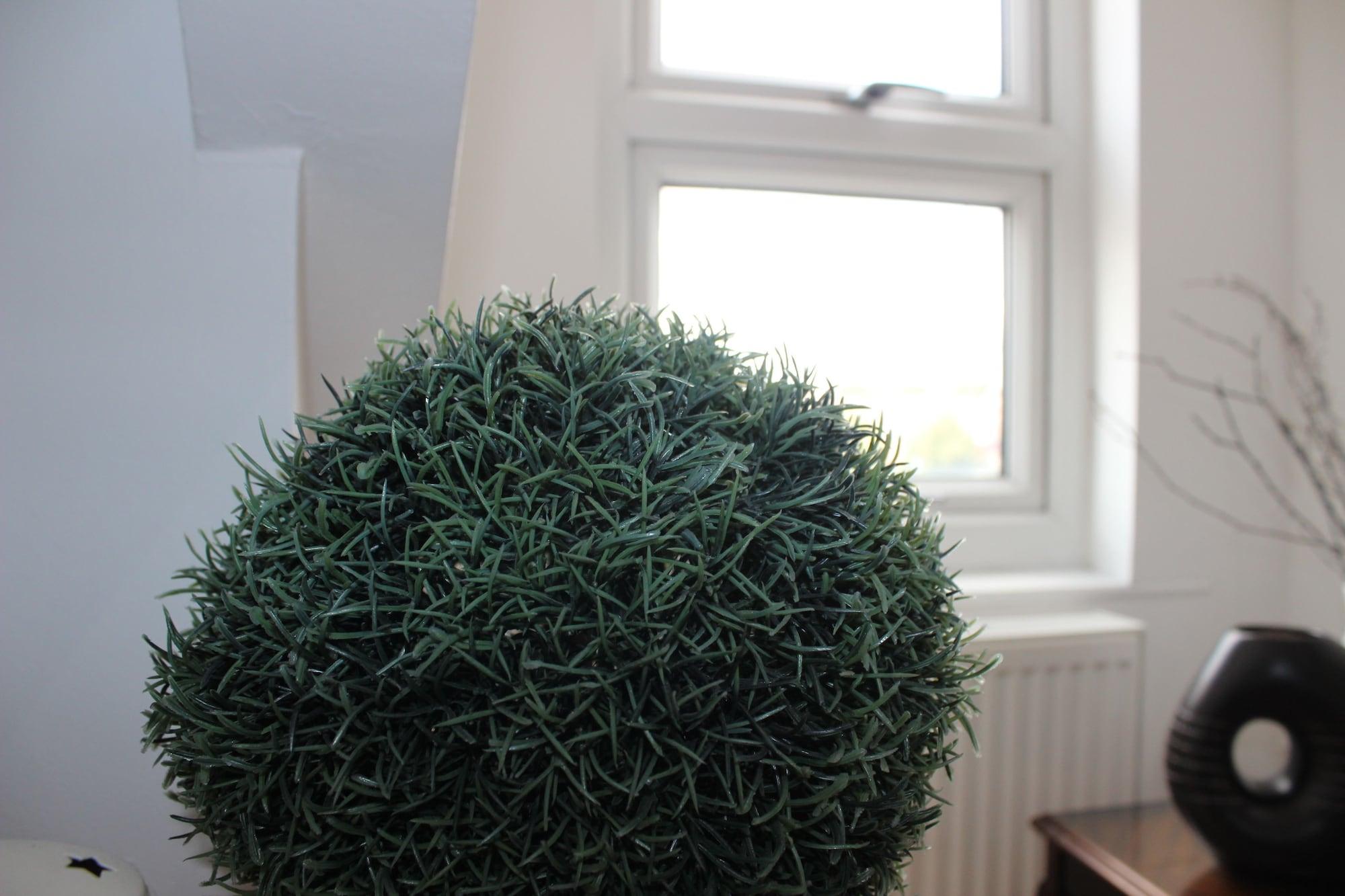 Habitación ADVO Hostel