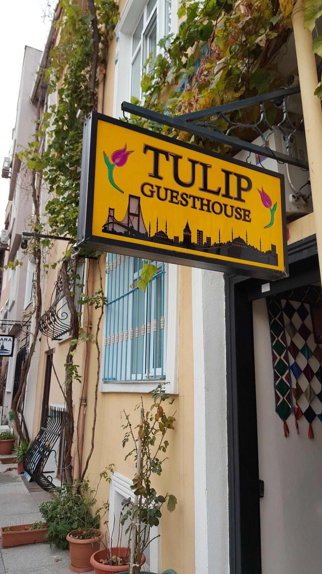 Vista Exterior Tulip Guesthouse