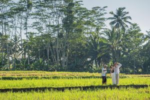 Alojamiento - Metland Venya Ubud(Formerly  Horison Ume Suite & Villas)