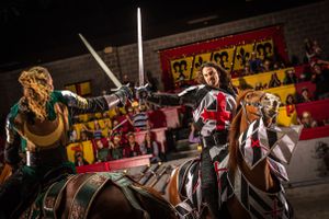 Actividad - Cena con espectáculo Medieval Times