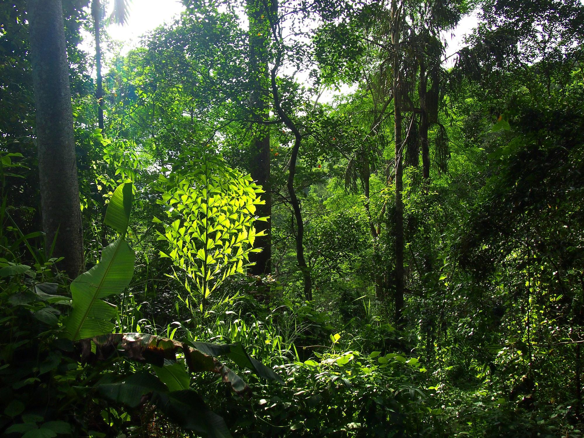 Vista Exterior Natural Mystic Sanctuary