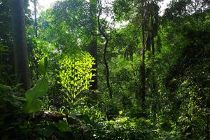 Alojamiento - Natural Mystic Sanctuary